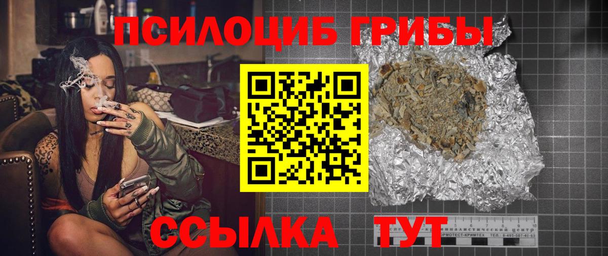 Псилоцибиновые грибы Psilocybe Сергиев Посад